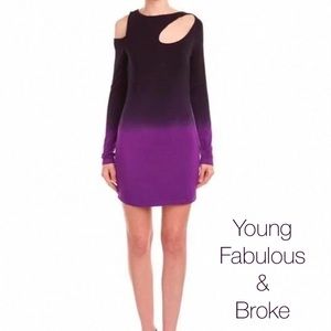 ⚡️Flash Sale⚡️Young Fabulous & Broke Ombré Dress